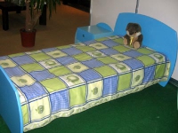 Единично детско легло в синьо
